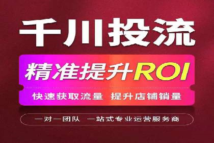 专业SEM服务公司案例分析报告
